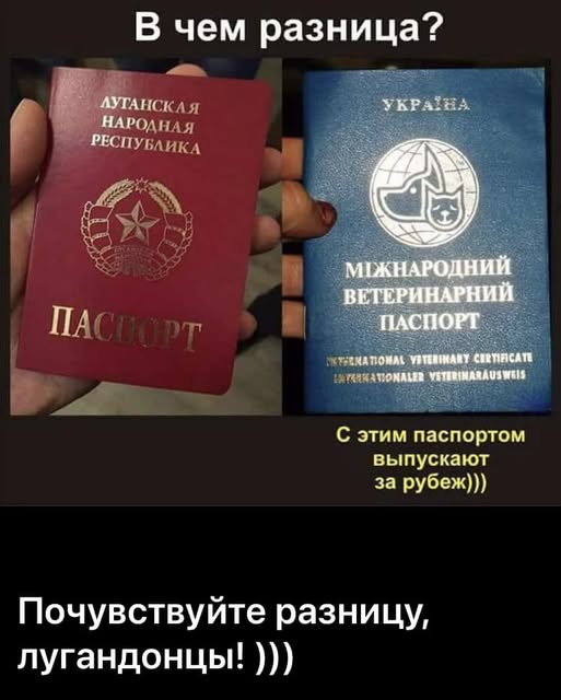 Паспорта.jpg
