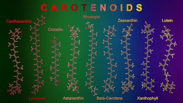 Some carotenoids.jpeg