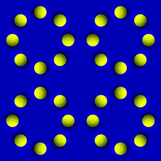 471583022_10231909488953458_8617239059076794105_n.jpg