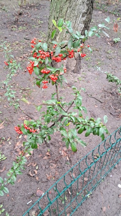 20250123_105755.jpg