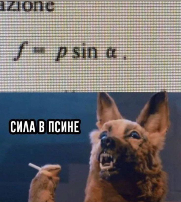 anon-приколы-для-даунов-8786909.png