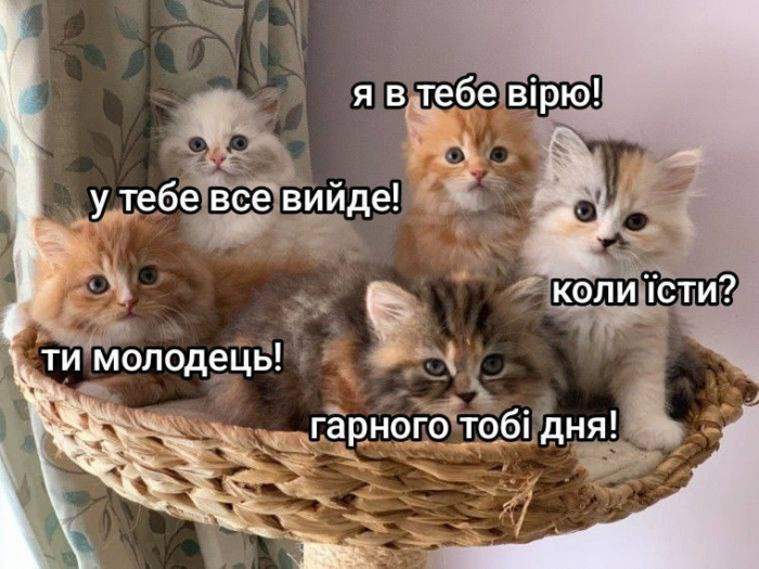 GkD1d3uWQAAI1Ne.png