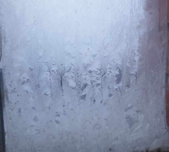 20250216_073519.jpg