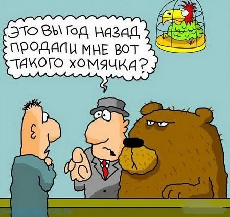 видеогифки-гифки-маламут-5468493.png
