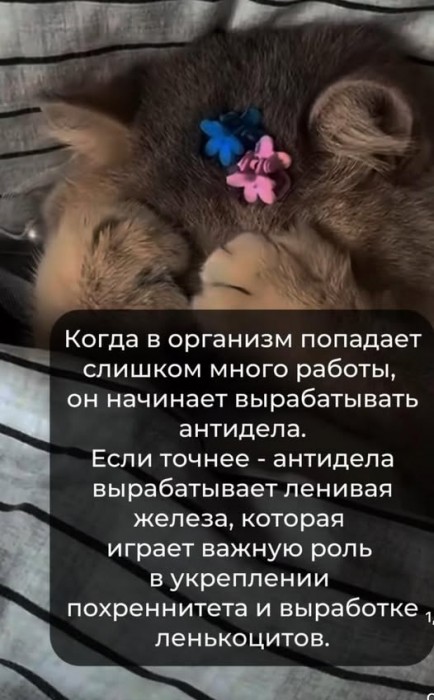 484444130_660292879706990_5440535955544314228_n.jpg