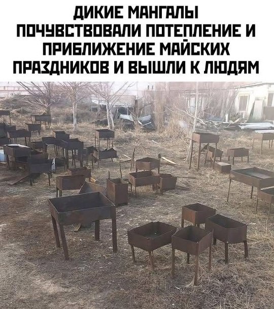 мангал-праздники-8869447.jpeg