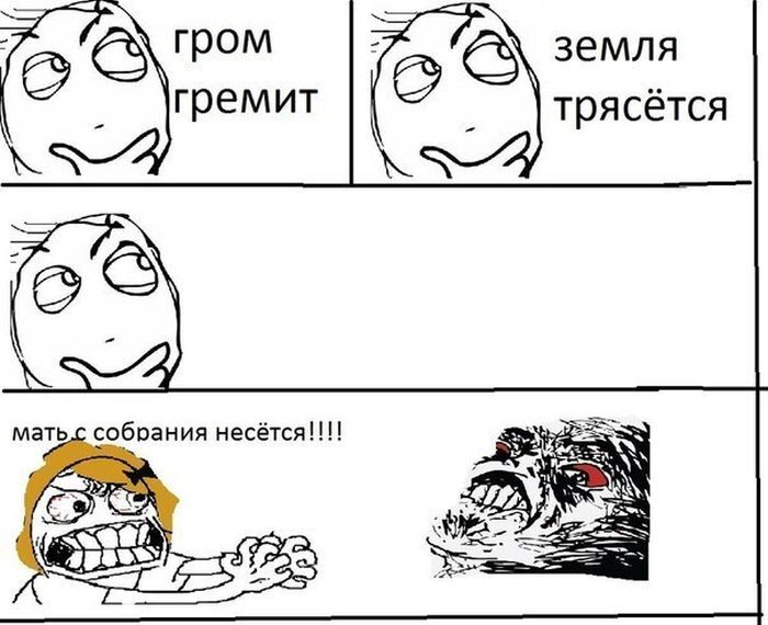 котэ-мемасики-5511030.jpeg