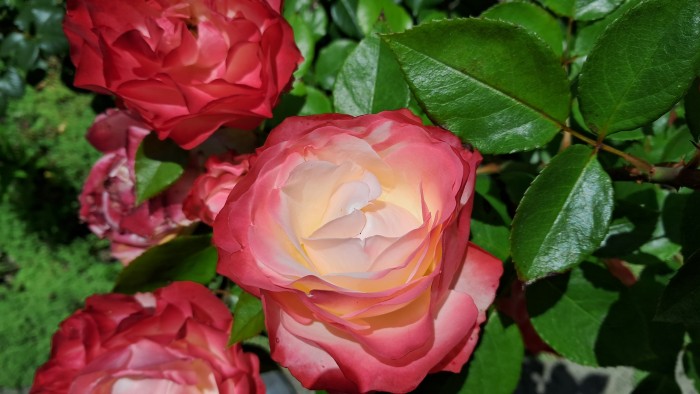 20250618_121001.jpg