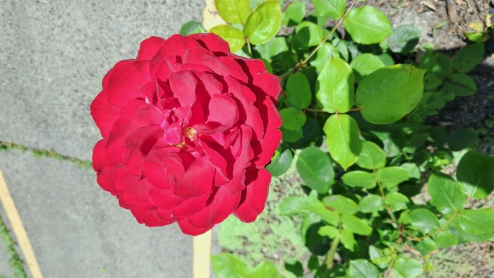 20250618_121018.jpg
