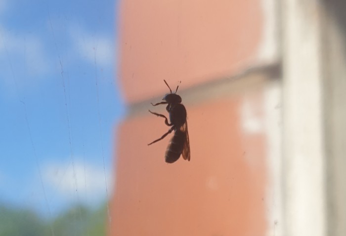 20250705_095840.jpg
