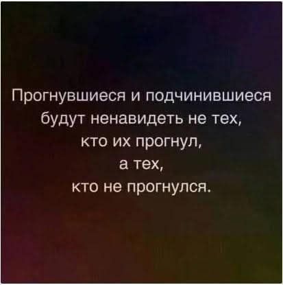 517626523_1985249468978278_140468451822574362_n.jpg
