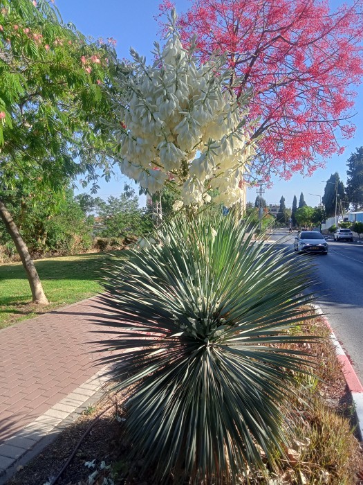 IMG20250527172318_01.jpg