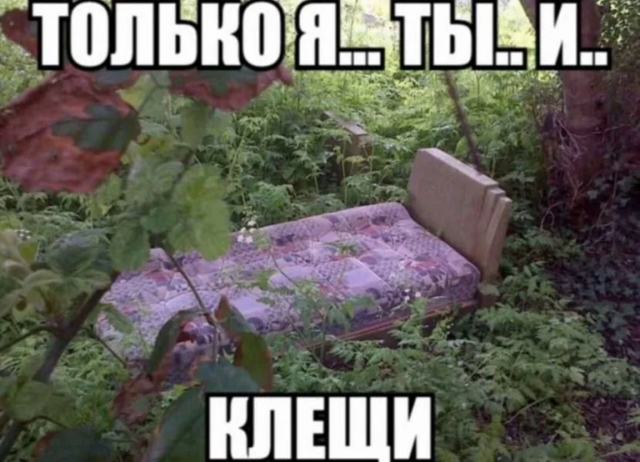 -пРиКоЛы-ДлЯ-дАуНоВ-разное-клещи-8996184.png