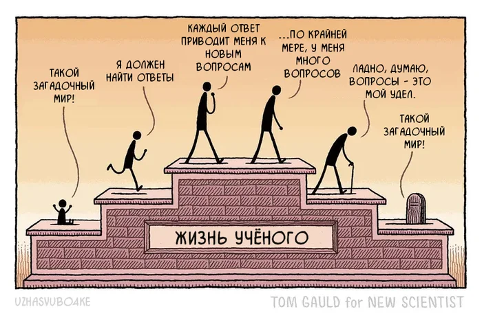 tom-gauld-Комиксы-ученые-9000092.png