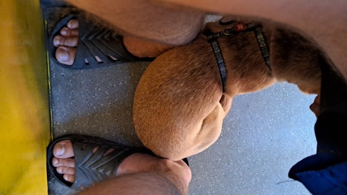 20250802_091330.jpg