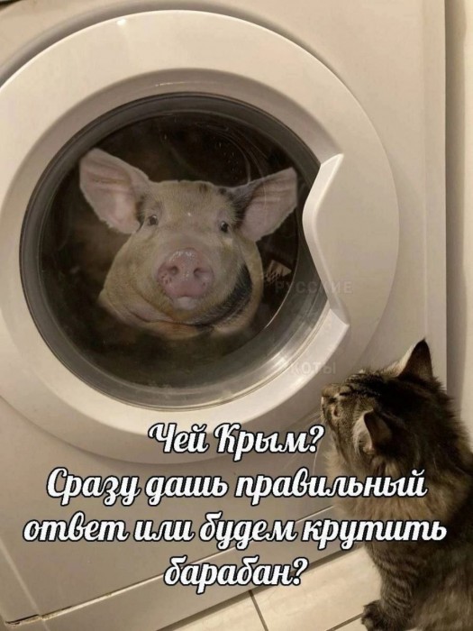 Gzu5tEkW0AARtaM.jpeg