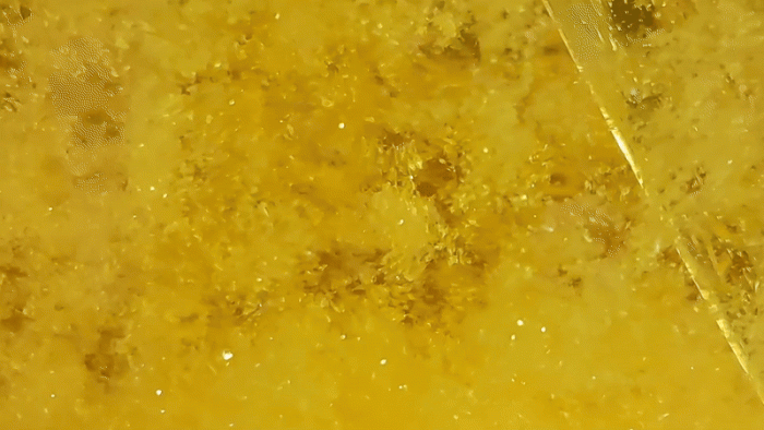 Nitration_of_Phenol-Picric_Acid_Synthesis-115.gif