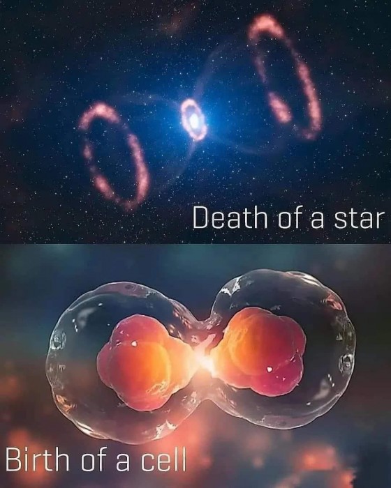 G0zIgpeXcAAcwTu.jpeg