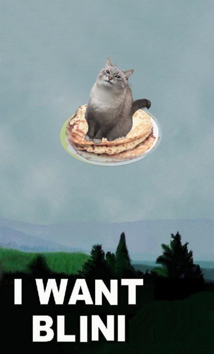 i-want-to-believe-котэ-Блин-9100084.jpeg