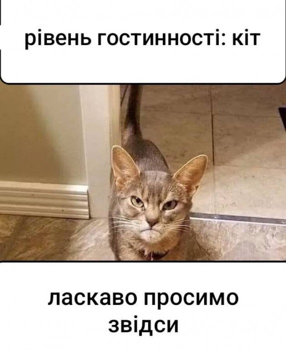G3uF5LAWcAAzn7l.jpeg