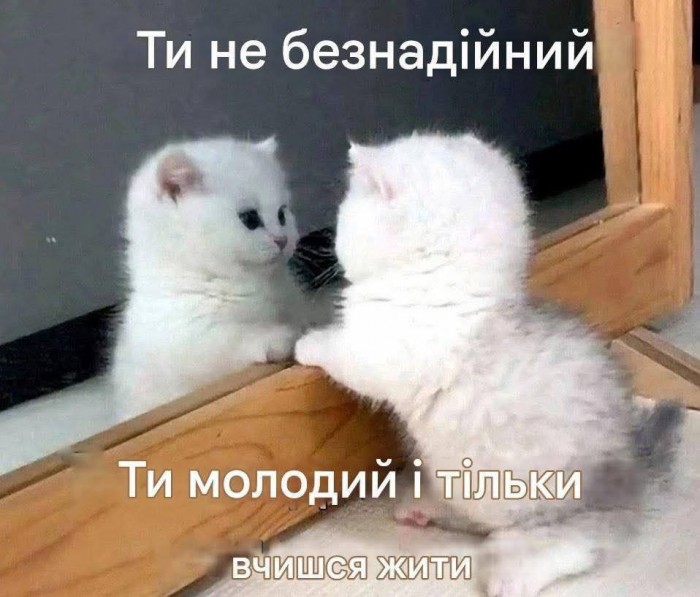 G4BMsyMXsAAKsE3.jpeg