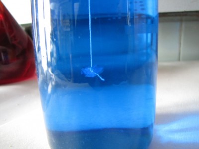 copper-sulfate-1.jpg
