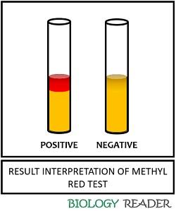 result-interpretation-of-MR-test.jpg