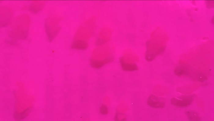 Universal_Indicator_Paper-f57.jpg