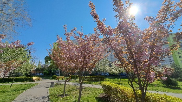20260502_095320.jpg