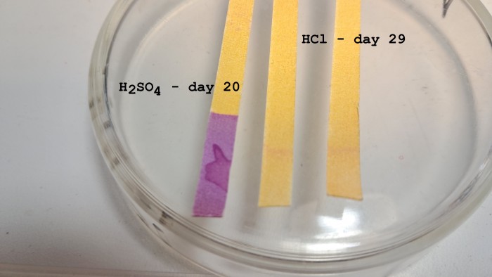 Universal Indicator Paper-29-20.jpg