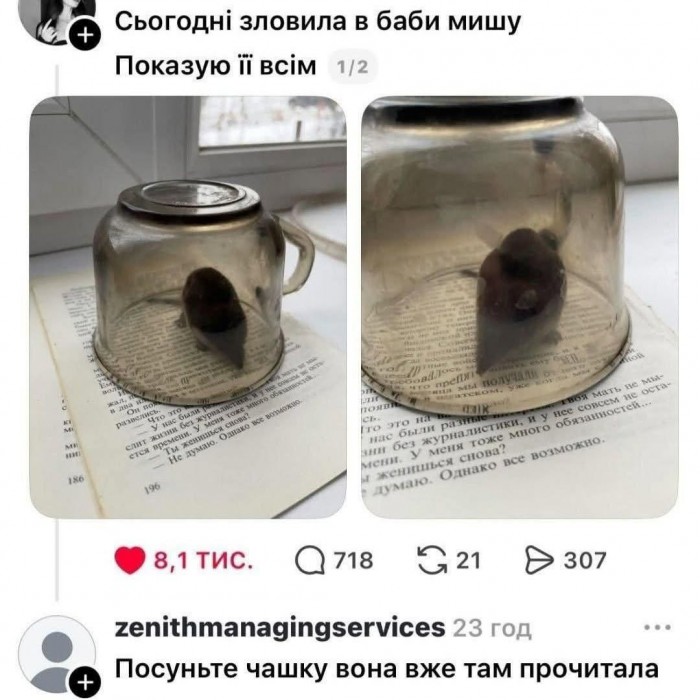 HKbdcH2XEAA00jP.jpeg