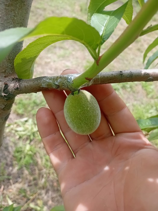 20260615_120801.jpg