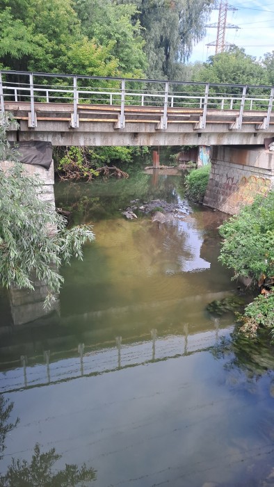 20260710_103810.jpg