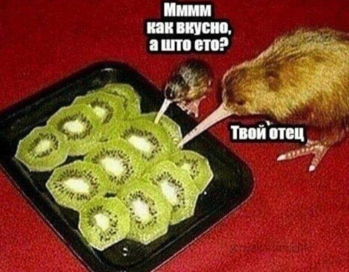 киви-приколы-для-даунов-баянометр-молчал-9427401.jpeg