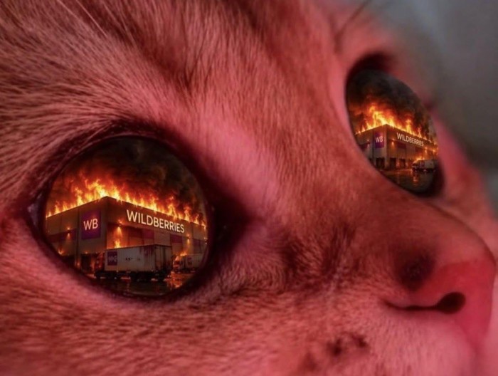HOlcS2iXkAAQbQp.jpeg