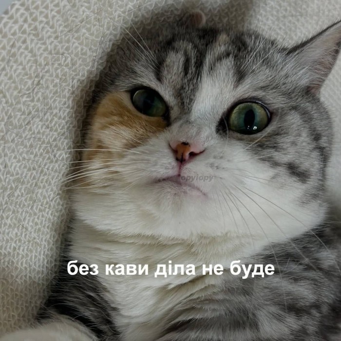 HPVmG7cXEAIxgV_.jpeg
