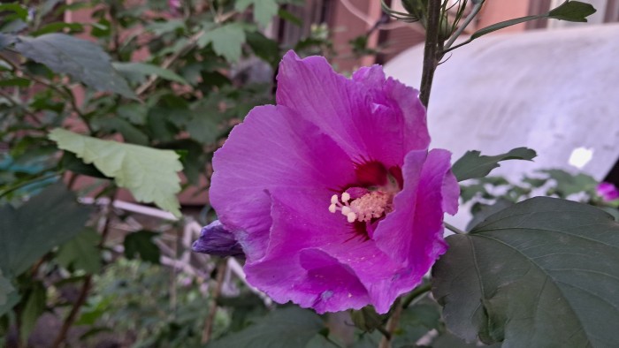 20260907_173645.jpg