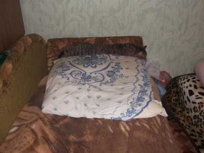 DSCF2480.JPG