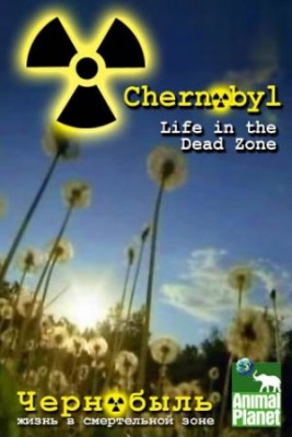 Chernobyl.jpg