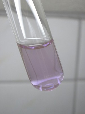 au10mkg-1.jpg