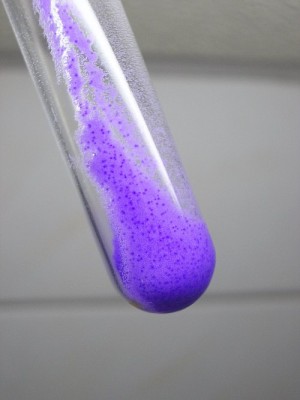 Cu-DCCA-1.jpg