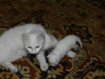 DSCN2511.jpg
