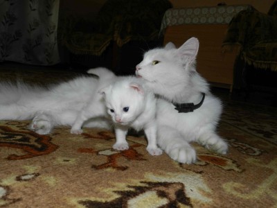 DSCN2516.jpg