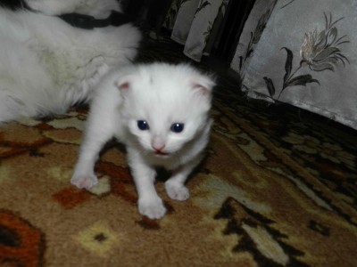 DSCN2517.jpg