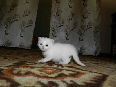 DSCN2523.jpg