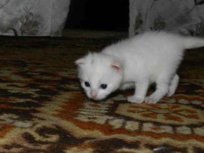 DSCN2525.jpg