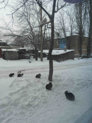 Изображение 003.jpg