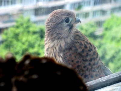 IMG_0093.JPG