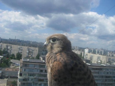 IMG_0111.JPG