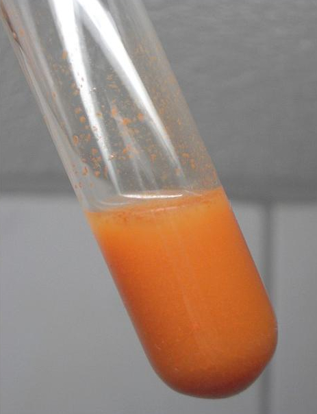 Раствор селена в сульфиде натрия (после подкисления).JPG